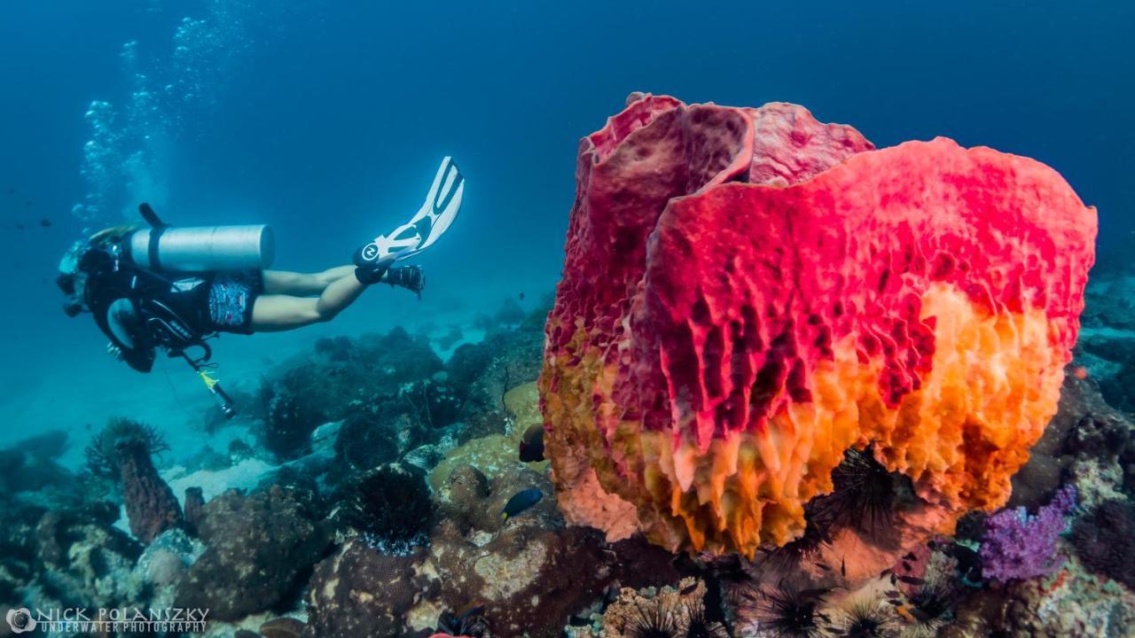 Forra Dive Resort Sunrise Κο Λίπε Εξωτερικό φωτογραφία