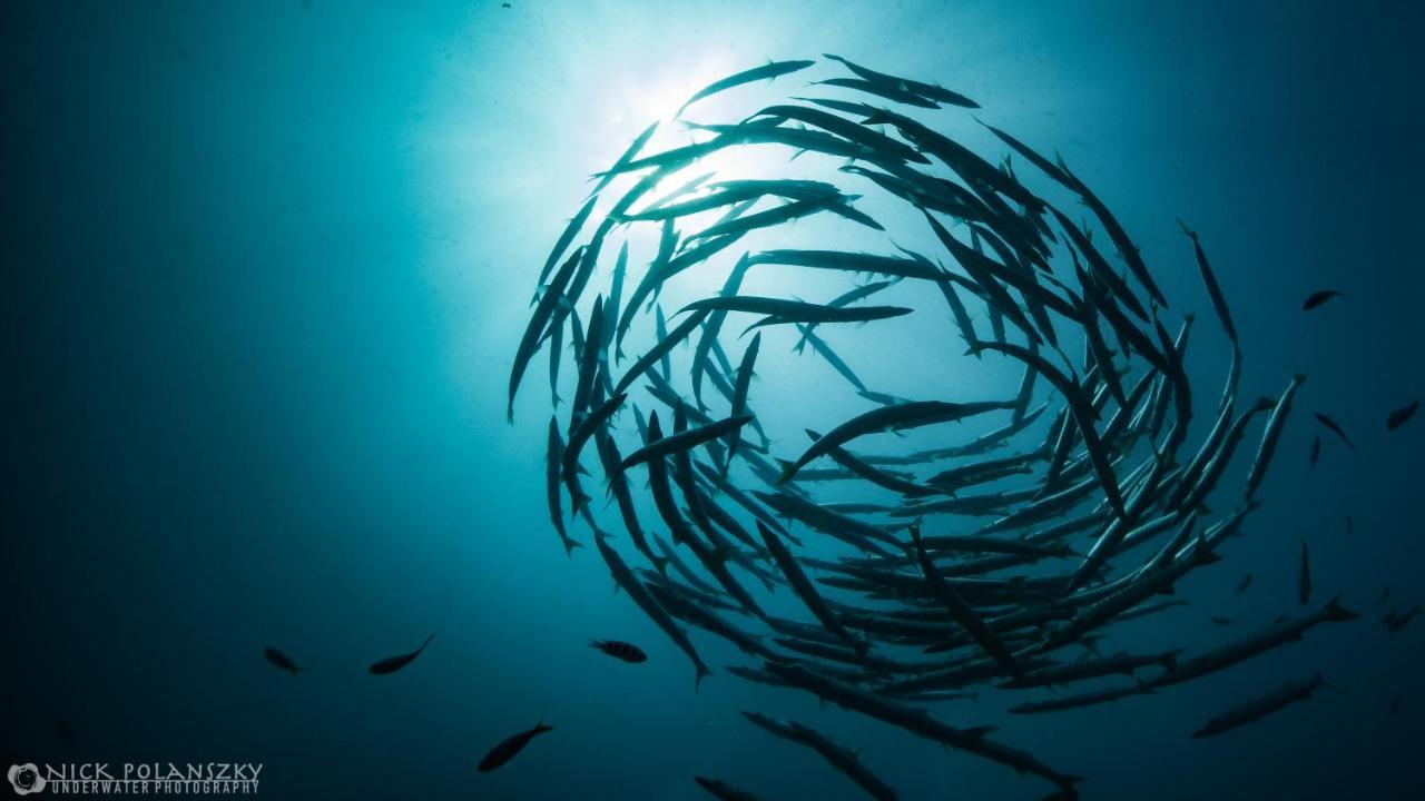 Forra Dive Resort Sunrise Κο Λίπε Εξωτερικό φωτογραφία