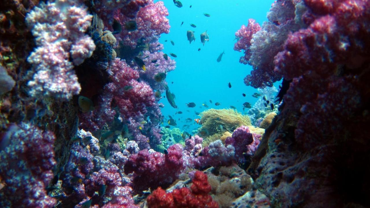 Forra Dive Resort Sunrise Κο Λίπε Εξωτερικό φωτογραφία