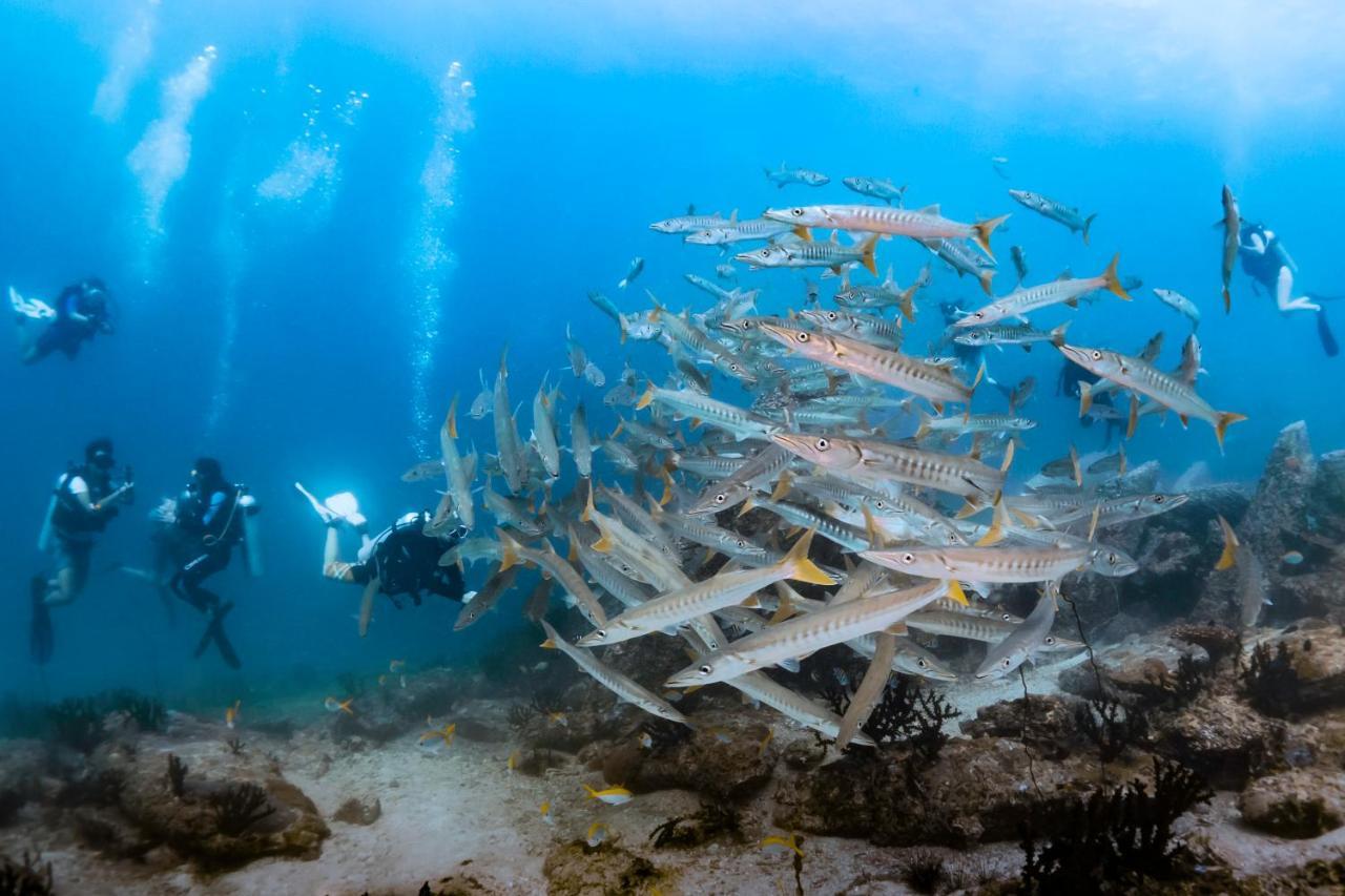 Forra Dive Resort Sunrise Κο Λίπε Εξωτερικό φωτογραφία