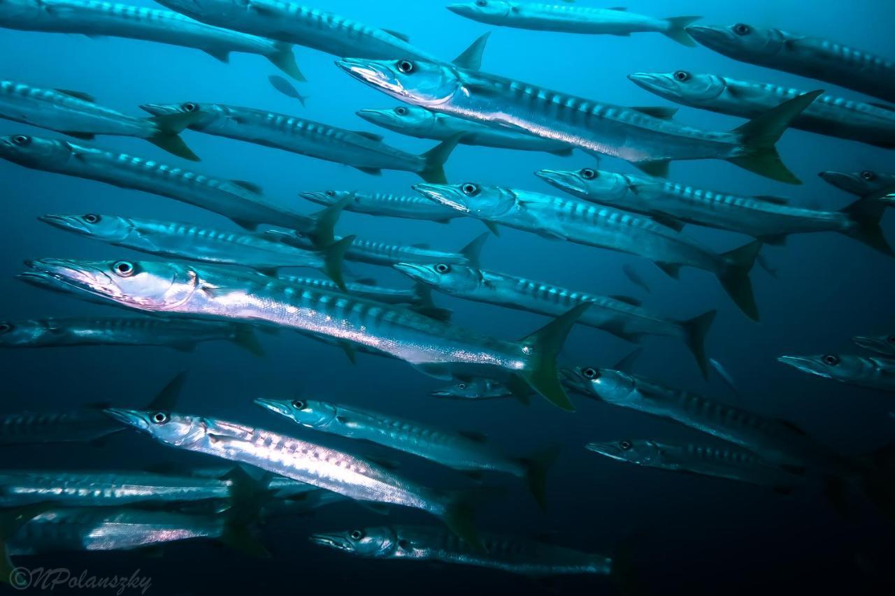 Forra Dive Resort Sunrise Κο Λίπε Εξωτερικό φωτογραφία