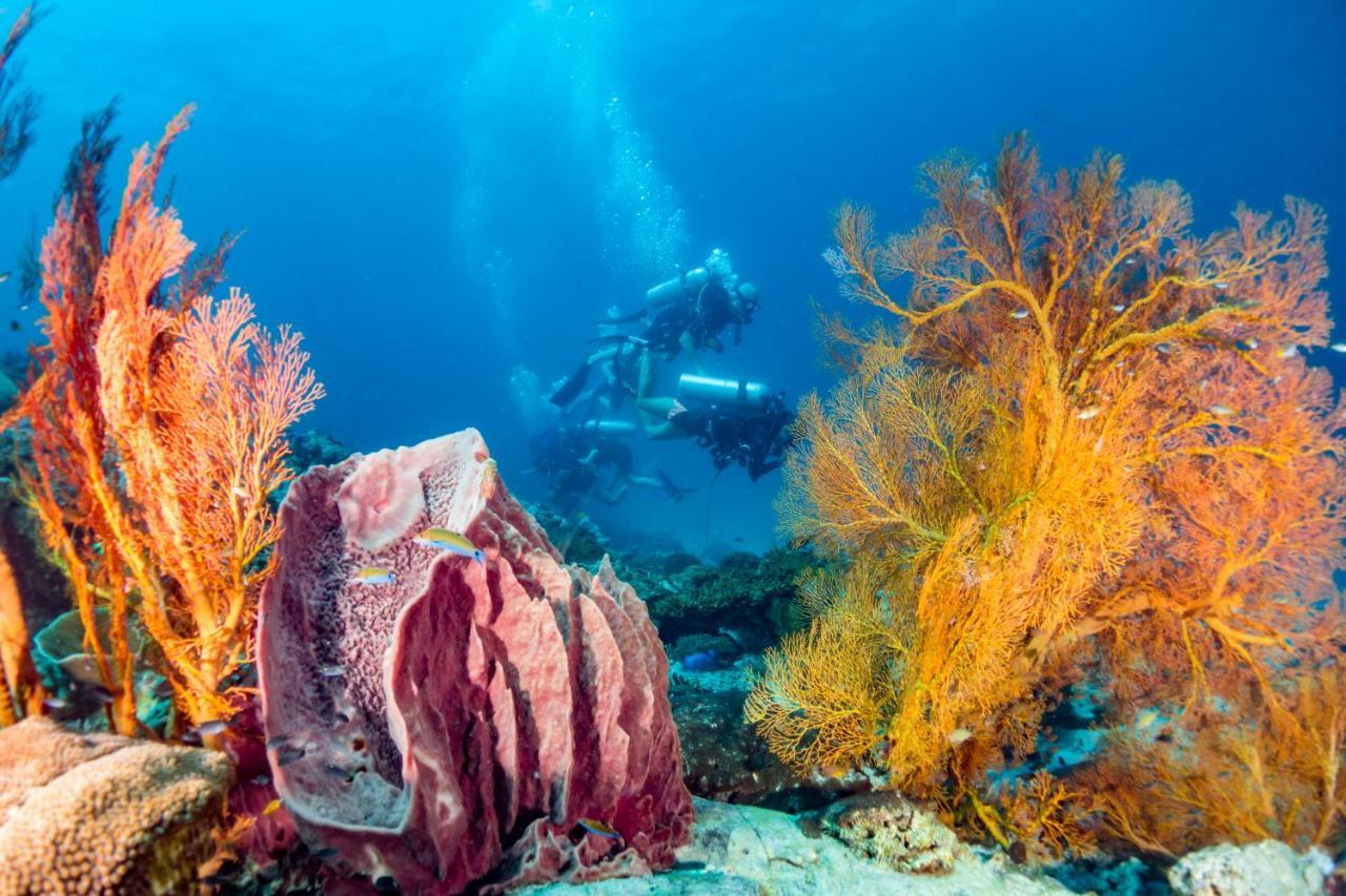 Forra Dive Resort Sunrise Κο Λίπε Εξωτερικό φωτογραφία